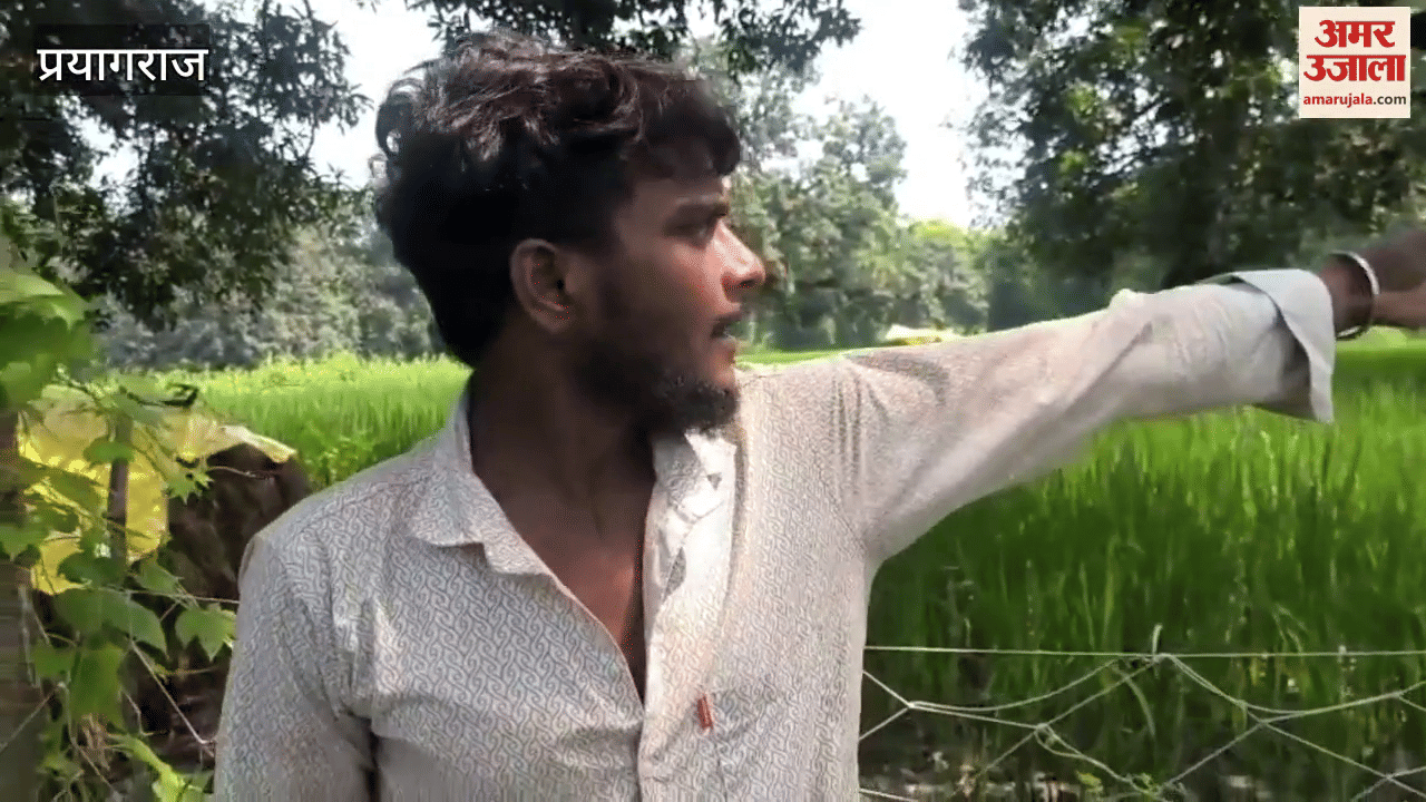 A man-eating leopard hiding in a paddy field in Prayagraj attacked a farmer, creating panic among villagers