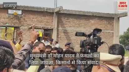 Chief Minister reached Polaykalan, took stock of the damage caused to crops by yellow mosaic