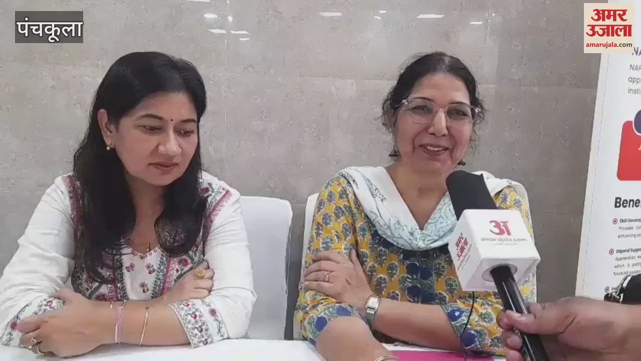 job fair in panchkula