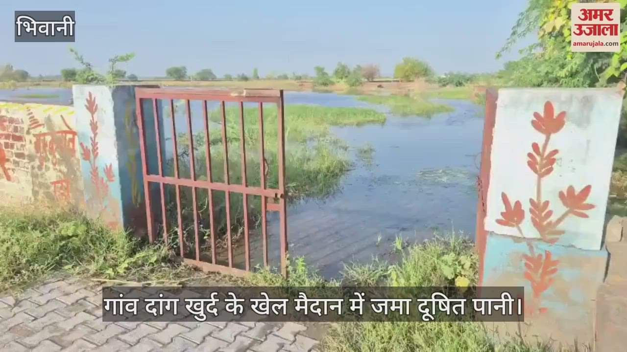 Contaminated water accumulated in the playground of village Dang Khurd
