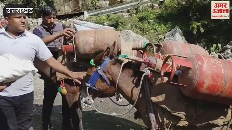 Yamunotri Highway: कई दिनों से रास्ता बंद, खच्चरों से गांवों में पहुंचाई जा रही खाद्य सामग्री और सिलिंडर