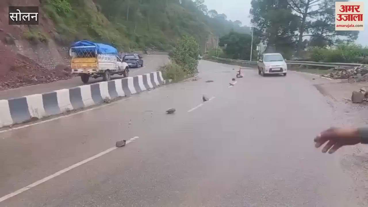 Solan Truck came from wrong direction in fog collided with a car