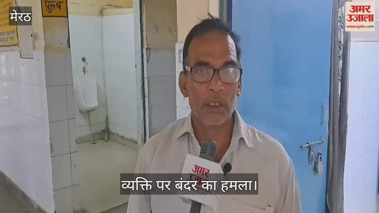 A group of monkeys attacked a person sleeping in the courtyard of the house, he suffered deep wounds on his legs and stomach