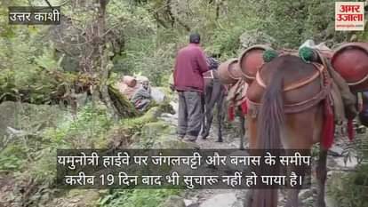 Uttarkashi News Mules are delivering supplies and cylinders to the rural areas of the Yamuna Valley