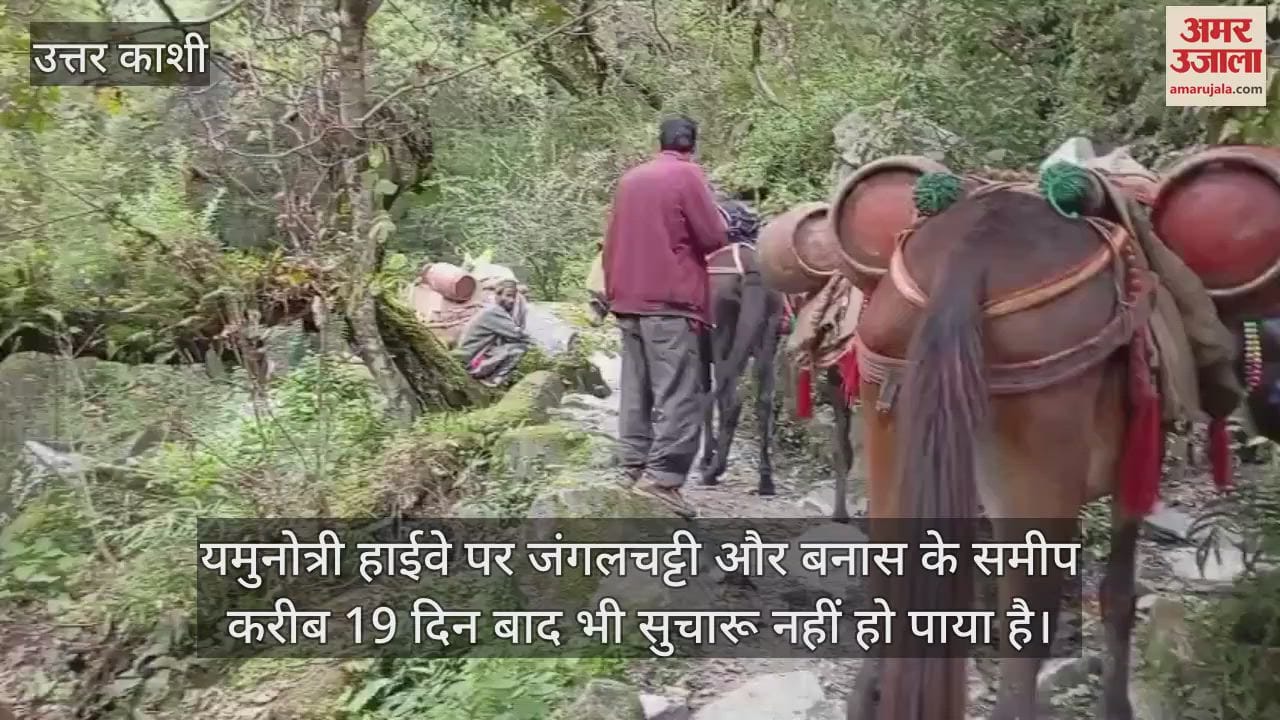 Uttarkashi News Mules are delivering supplies and cylinders to the rural areas of the Yamuna Valley