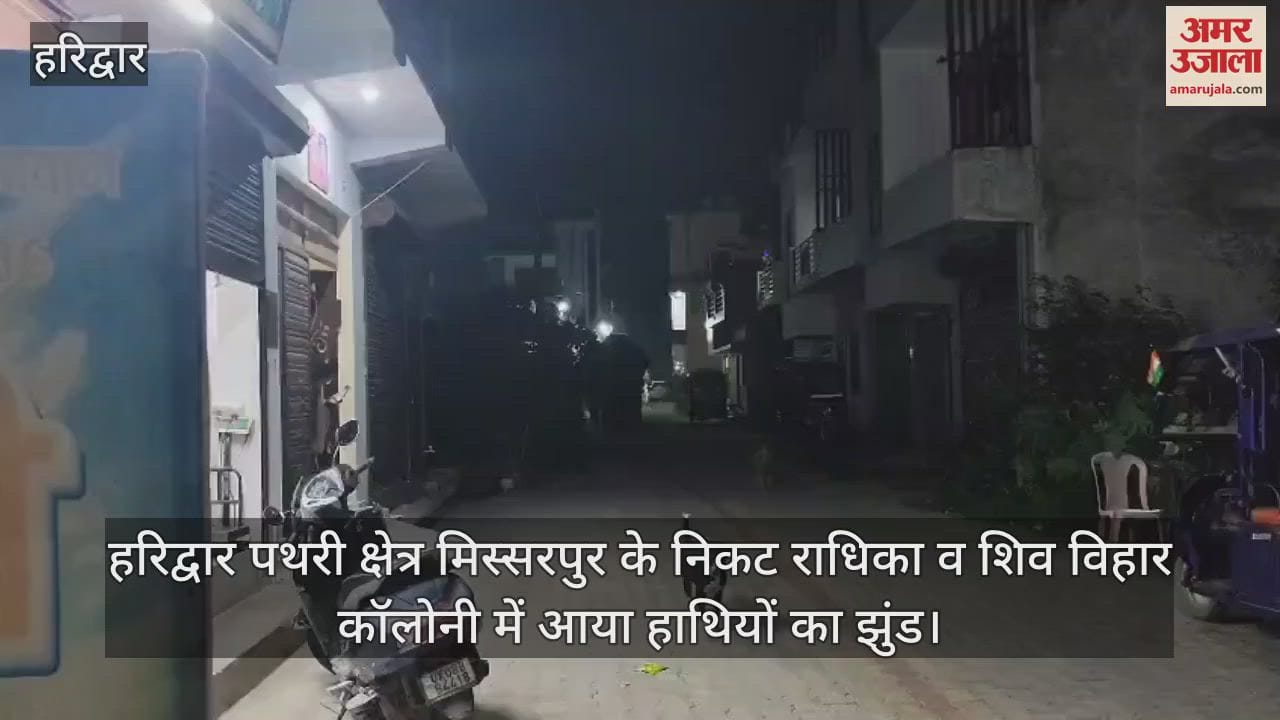 Elephants were seen roaming in the colonies of Haridwar