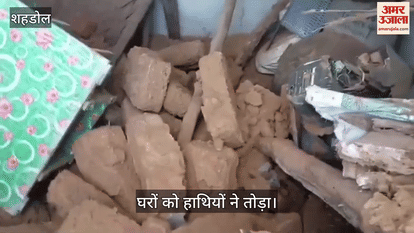 Wild elephants created havoc in Byawari, broke houses, ate crops,