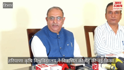 Haryana Agricultural University developed a new variety of wheat