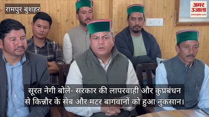 Surat Negi said- Apple and pea gardeners of Kinnaur suffered due to government's negligence and mismanagement