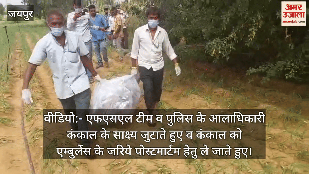 Kotputli-Behror News: Male skeleton found from field, sensation created in village; could not be identified