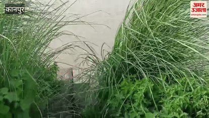 Ganga flowing in a furious form, thousands of acres of crops submerged