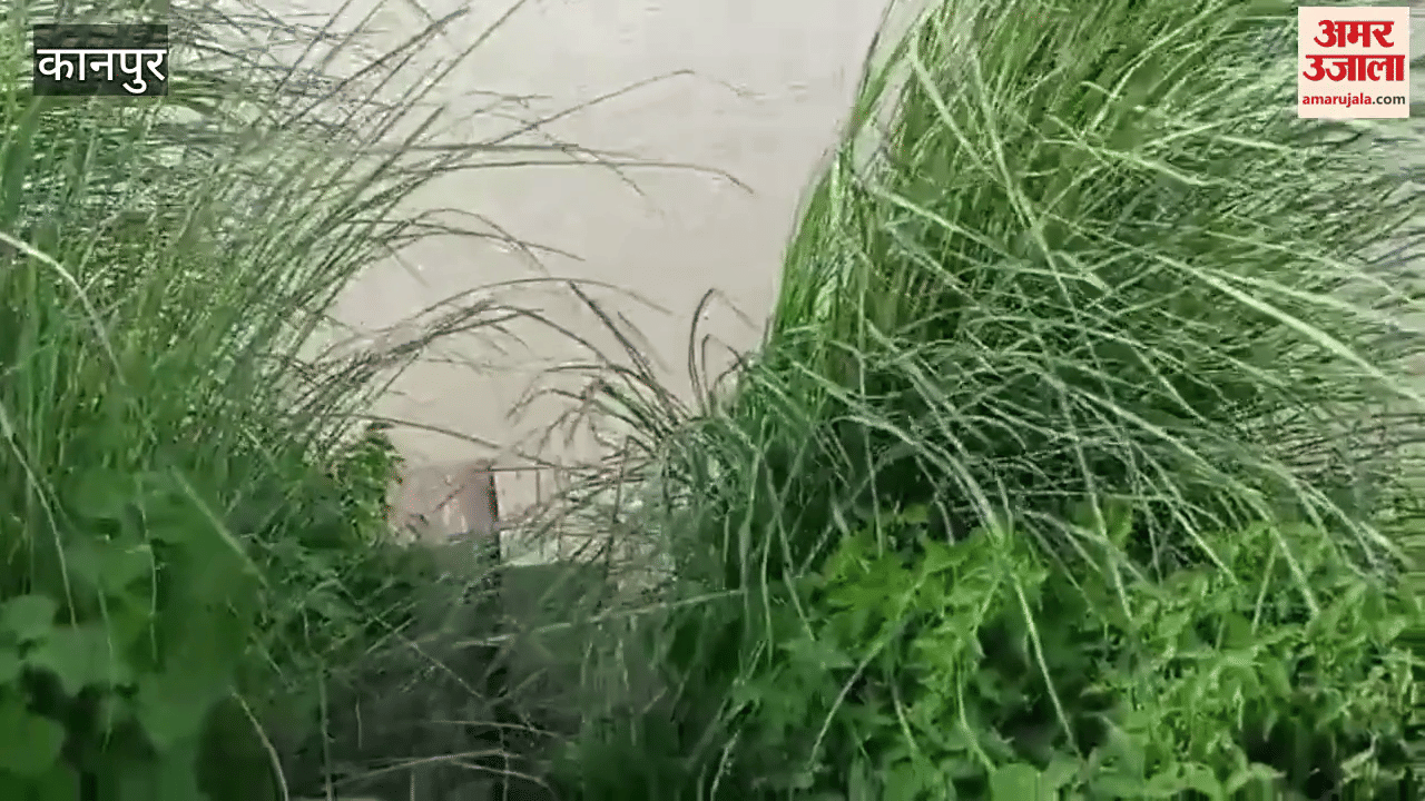 Ganga flowing in a furious form, thousands of acres of crops submerged