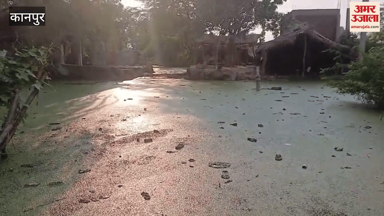 People are facing problems due to waterlogging in Bikaru