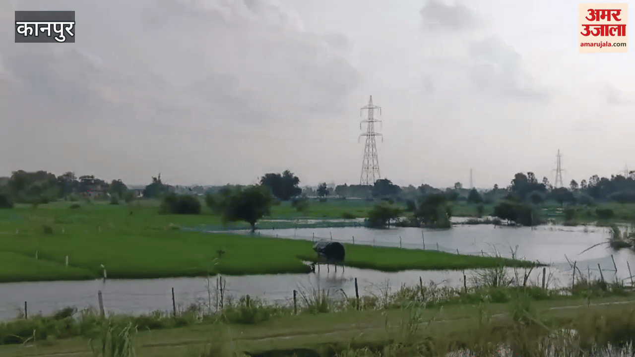 Flood in Ganga river has entered 35 localities, transportation by boats