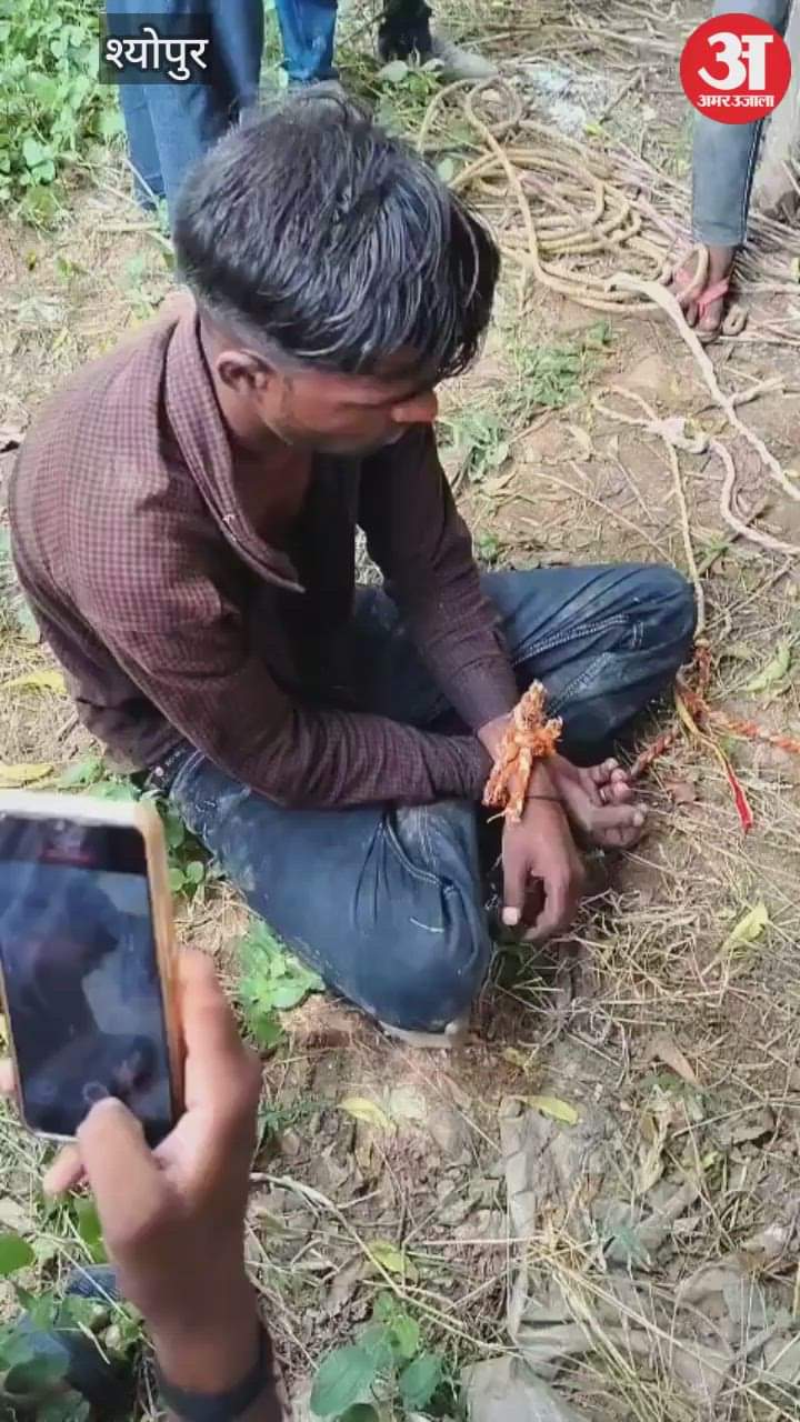 He went to meet his girlfriend, the girl's family members caught him, tied him with a rope and beat