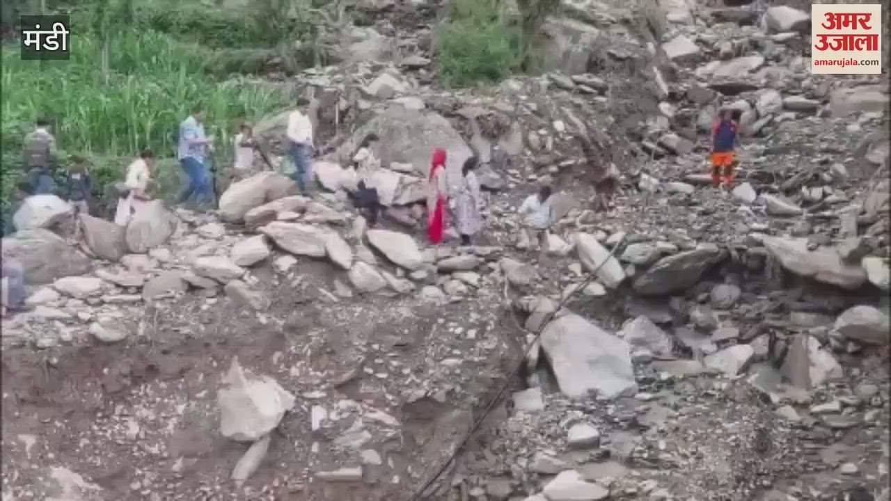 Mandi Khovinder Thakur said Actors in Punjab are helping wholeheartedly, where are those in Himachal