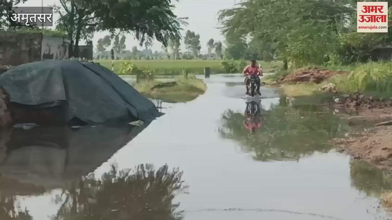 Farmers crops were damaged due to floods in Amritsar
