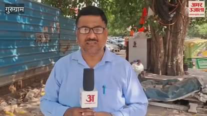 Laser light and sound system launched at Gurugram Leisure Valley Park