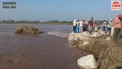 water level of Sutlej river increased in Basia village of Dharamkot