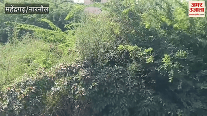 Body of a person found on Delhi-Mumbai Front Corridor