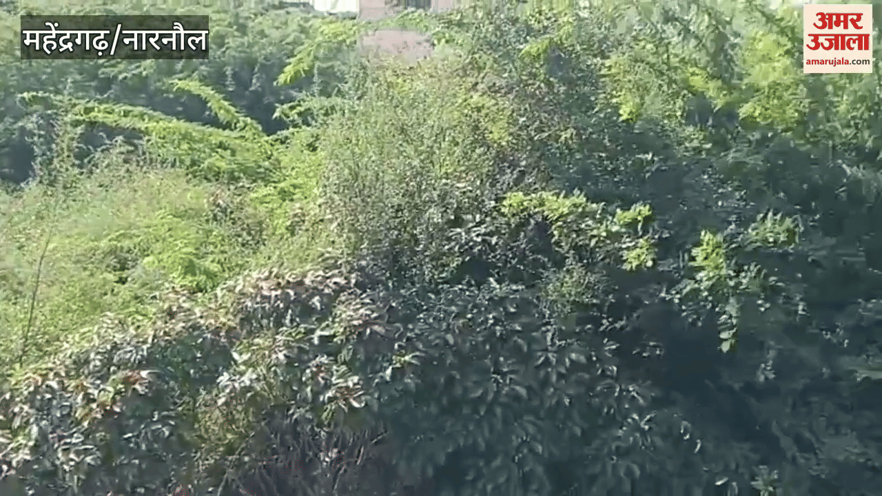 Body of a person found on Delhi-Mumbai Front Corridor