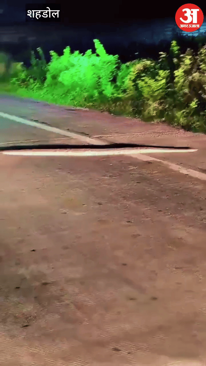 Python was seen crossing the highway at its own pace, wheels of vehicles stopped, video surfaced