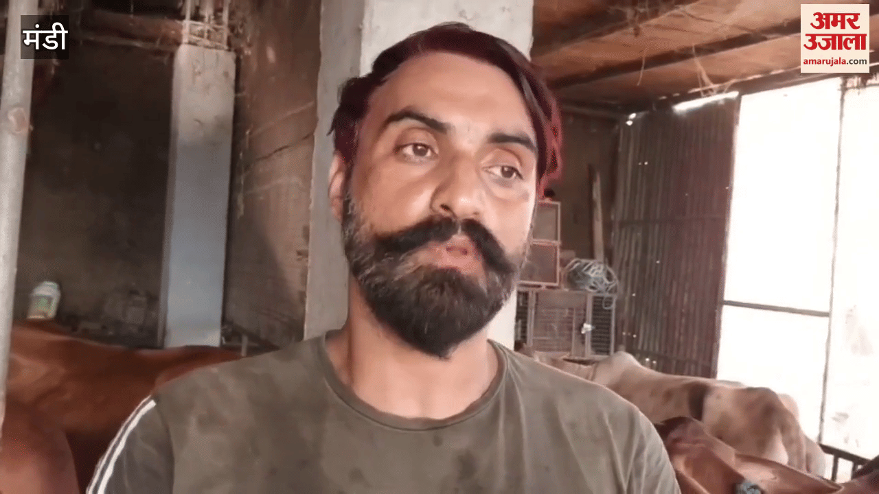 Mandi Bhupindra of Alanya is earning up to one lakh rupees every month from milk production