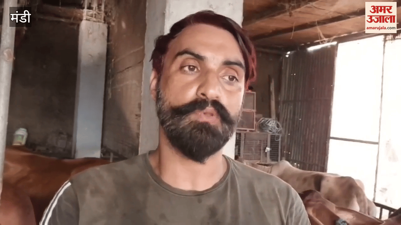 Mandi Bhupindra of Alanya is earning up to one lakh rupees every month from milk production