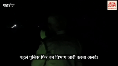 Elephants reached Devlaund, forest department made people stay overnight in the nearby village