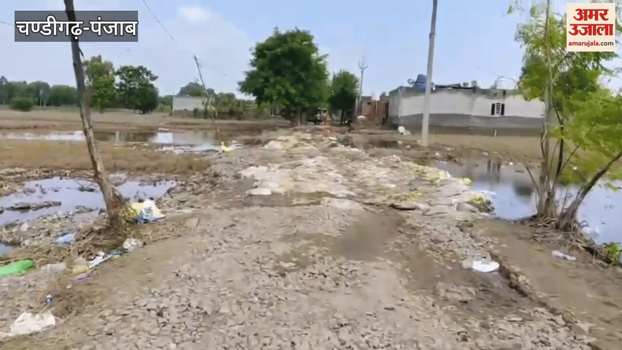 Link roads of many villages were broken due to flood in Ferozepur