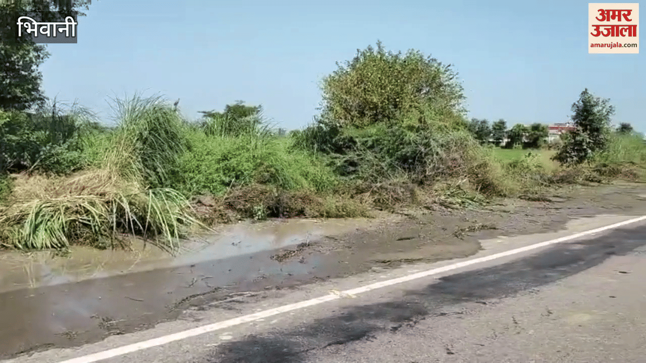 The irrigation department started the work of deepening the drain for water drainage in Dhanana village of Bhiwani