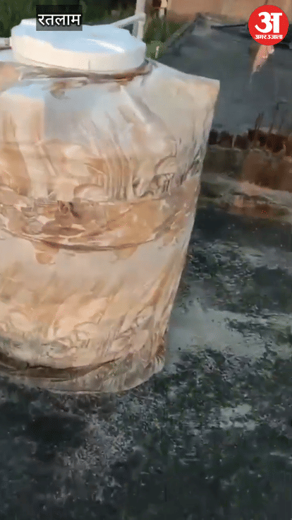 Robbers attacked Kandravasa village in Ratlam, entered four houses, took people hostage and looted