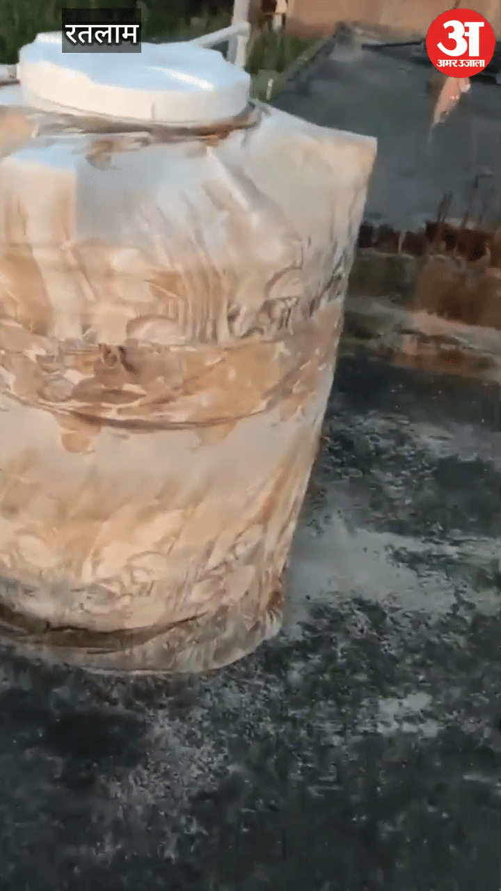 Robbers attacked Kandravasa village in Ratlam, entered four houses, took people hostage and looted