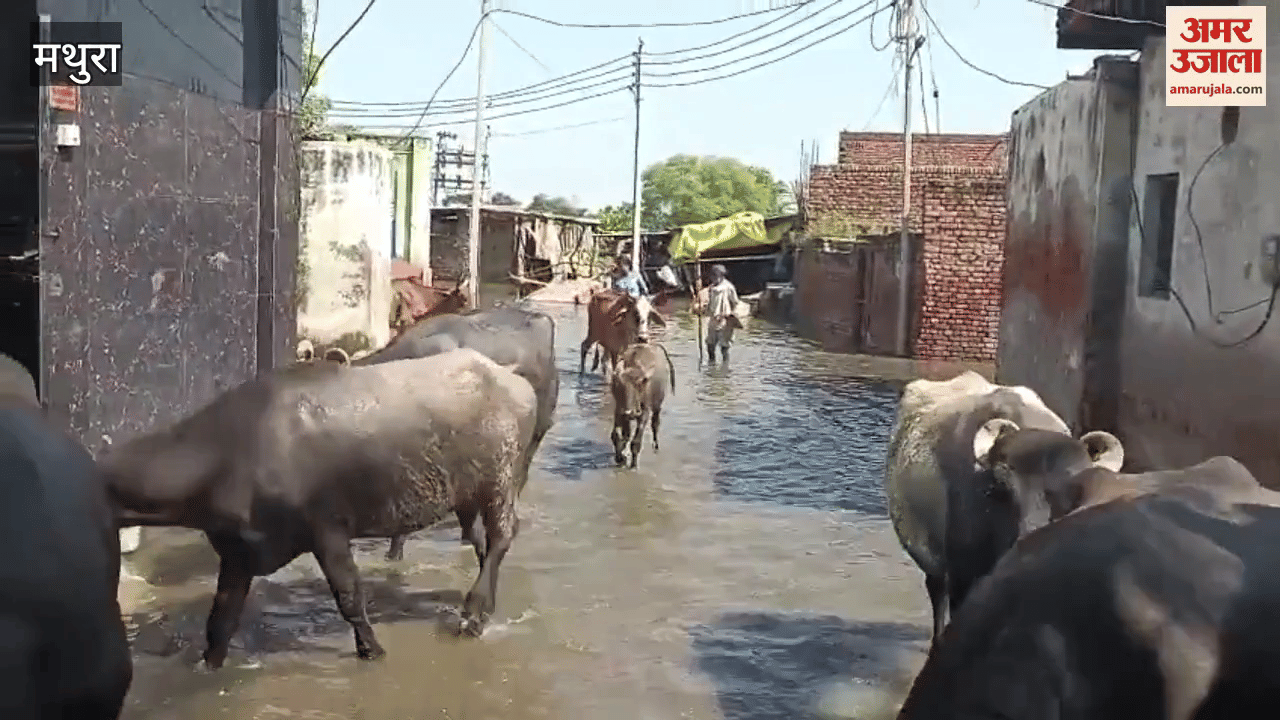 Mathura Rawal village affected by floods