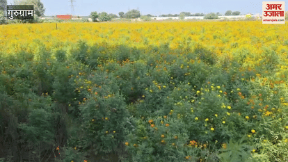 The festive season begins with Navratri demand for flowers increases