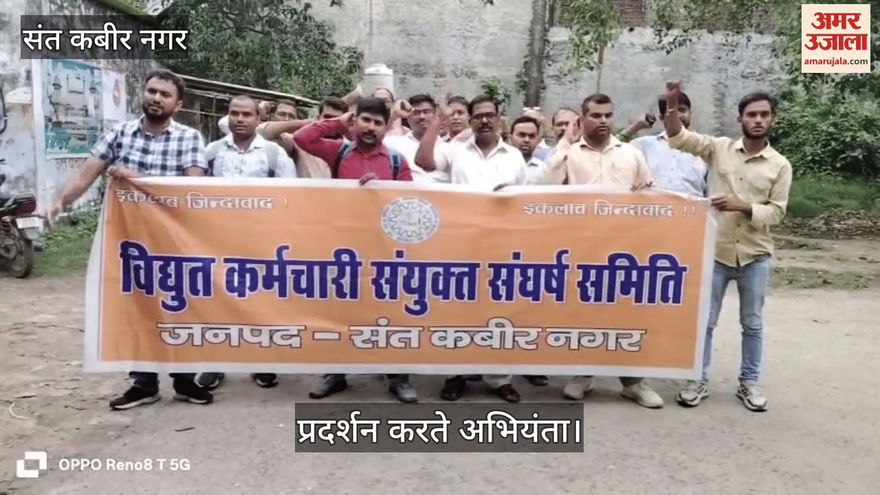 Electricity workers staged a sit-in protest against the privatization of power corporations
