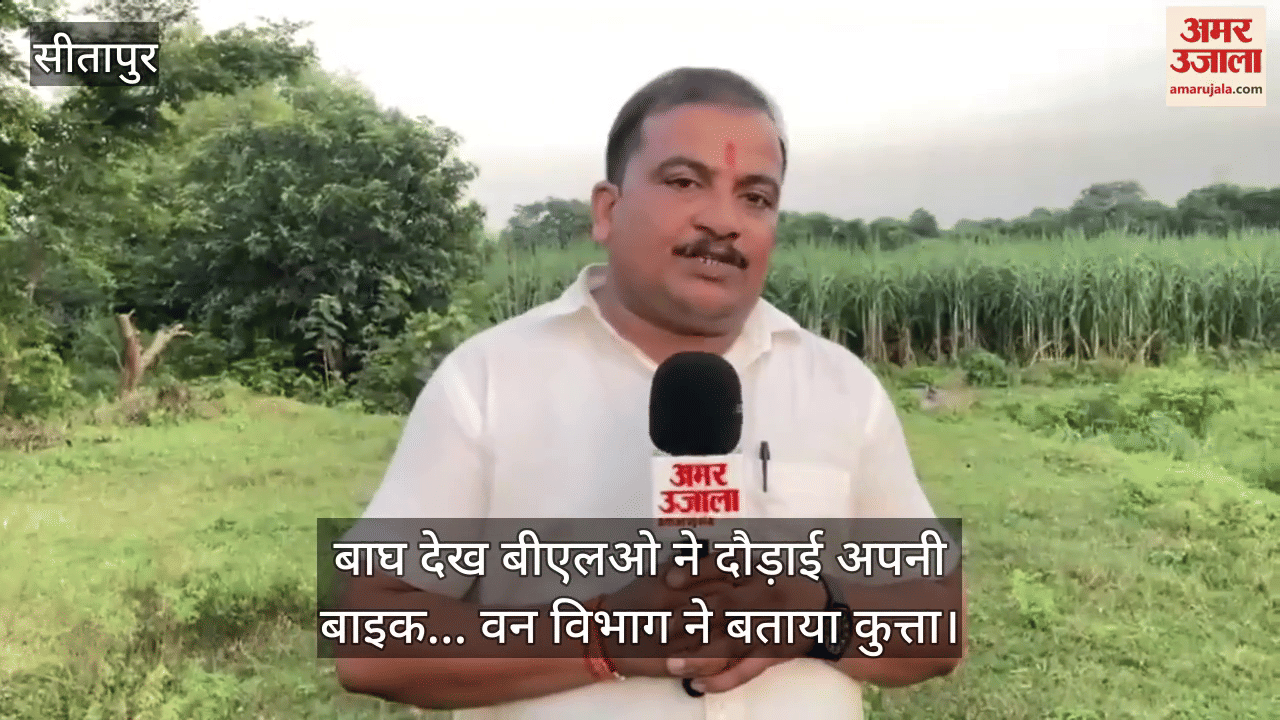 सीतापुर में बाघ देख बीएलओ ने दौड़ाई अपनी बाइक... वन विभाग ने बताया कुत्ता