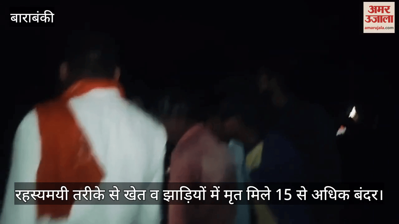 बाराबंकी में रहस्यमयी तरीके से खेत व झाड़ियों में मृत मिले 15 से अधिक बंदर