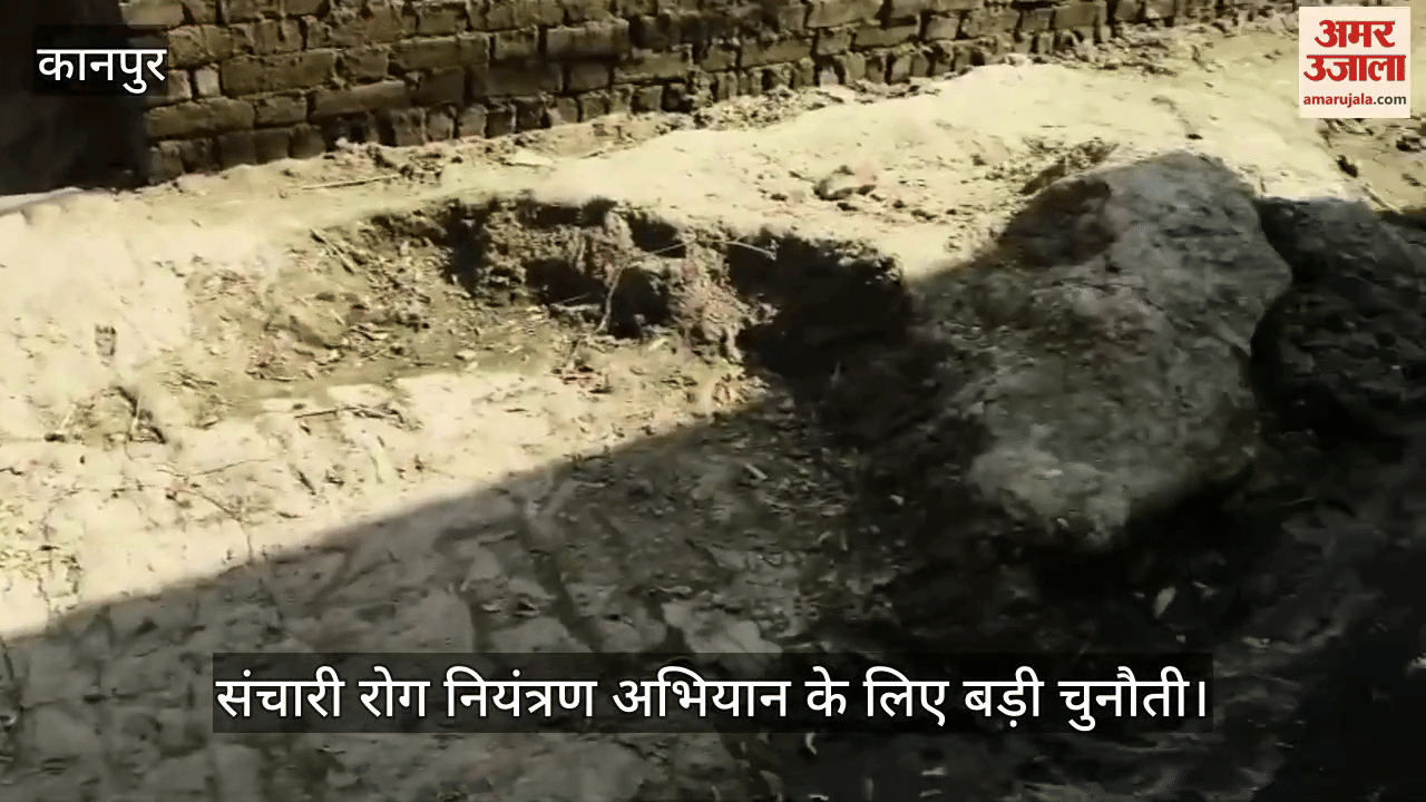 कानपुर: बीहूपुर गांव में गंदगी से हाल बेहाल, नालियों की सफाई न होने से फैली दुर्गंध