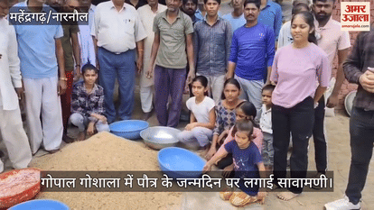 Program in Cow shed