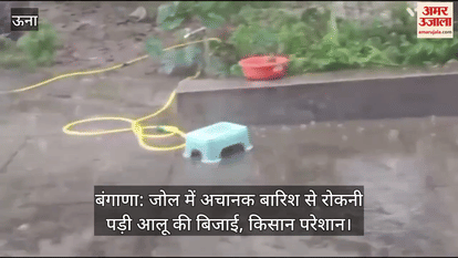 Bangana: Potato sowing had to be stopped due to sudden rain in Jol, farmers are worried