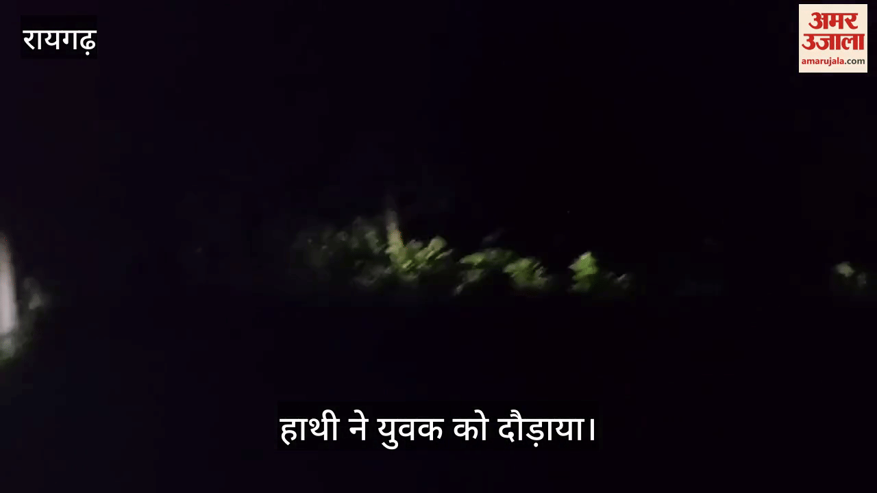 The elephant chased the villagers who were trying to chase away a group of wild elephants by shouting