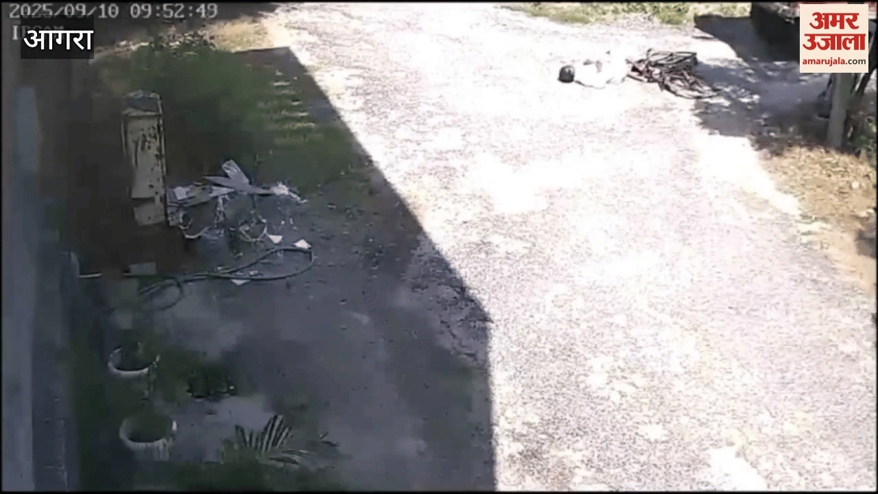Furniture Worker Crushed by Tractor in Agra