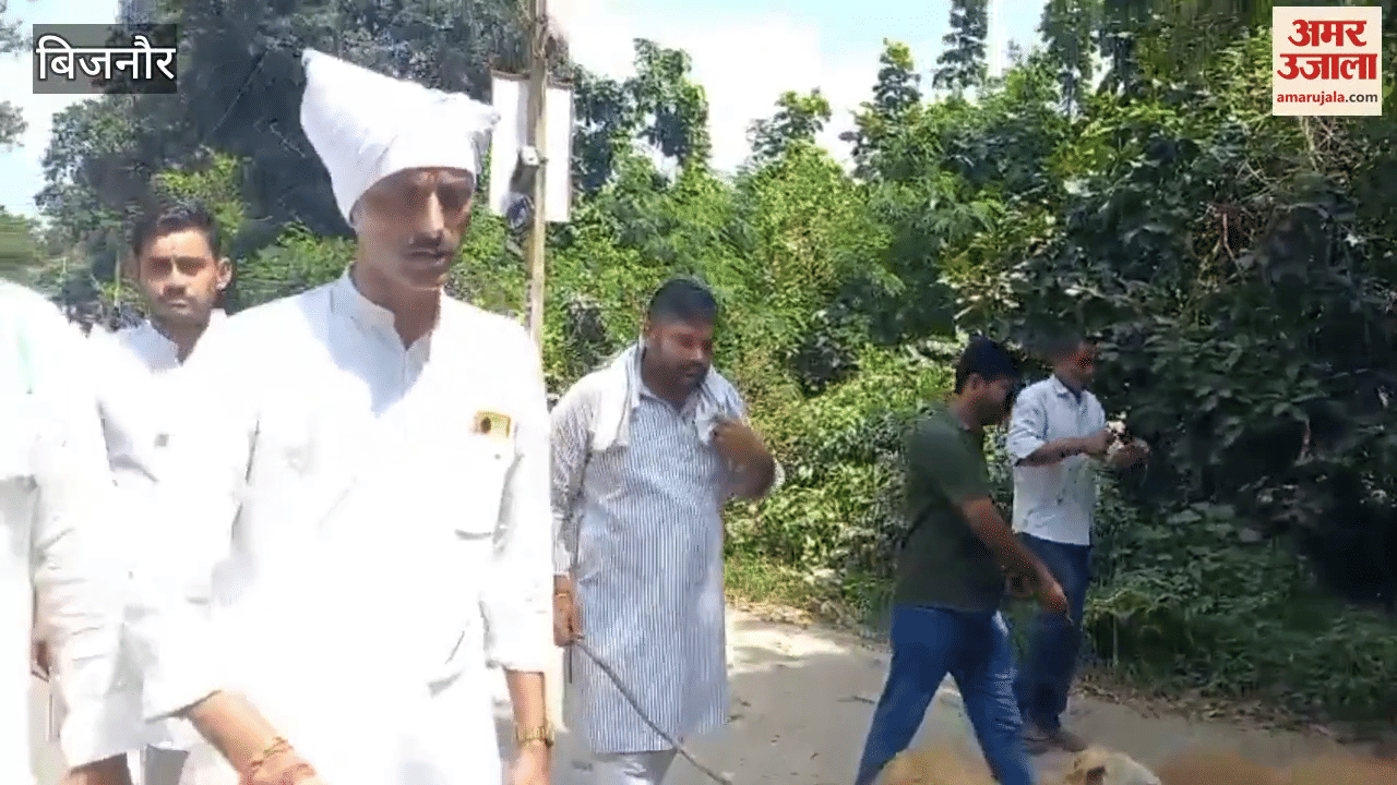 Farmers troubled by leopard attacks in Bijnor stage a unique protest, filled the DFO office with sheep