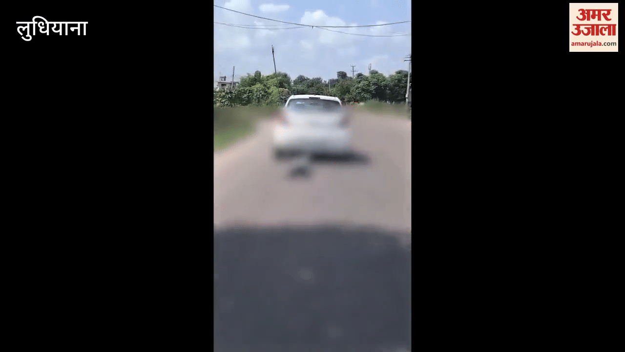 shopkeeper tied a dead dog found outside his shop in Khanna to his car and dragged it