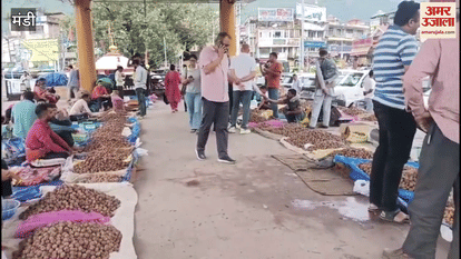 Mandi Sair festival is a symbol of the arrival of new crop there has been a tradition of playing with walnuts from Pethu Puja