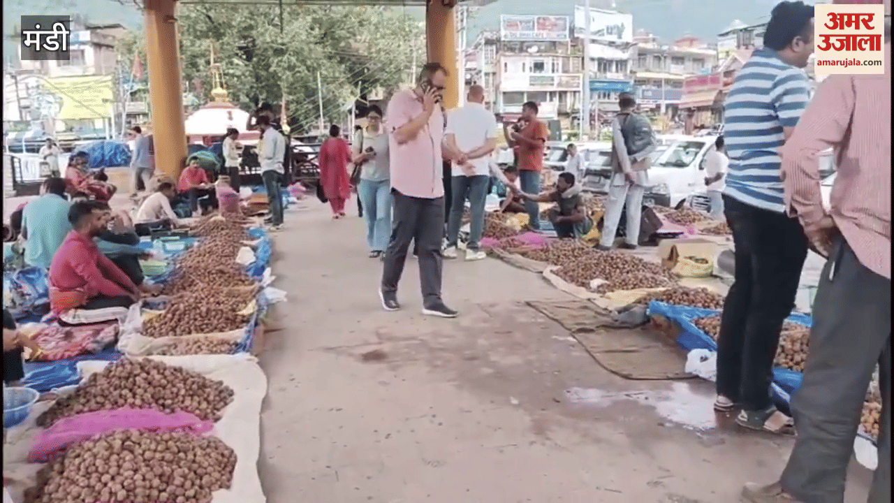 Mandi Sair festival is a symbol of the arrival of new crop there has been a tradition of playing with walnuts from Pethu Puja