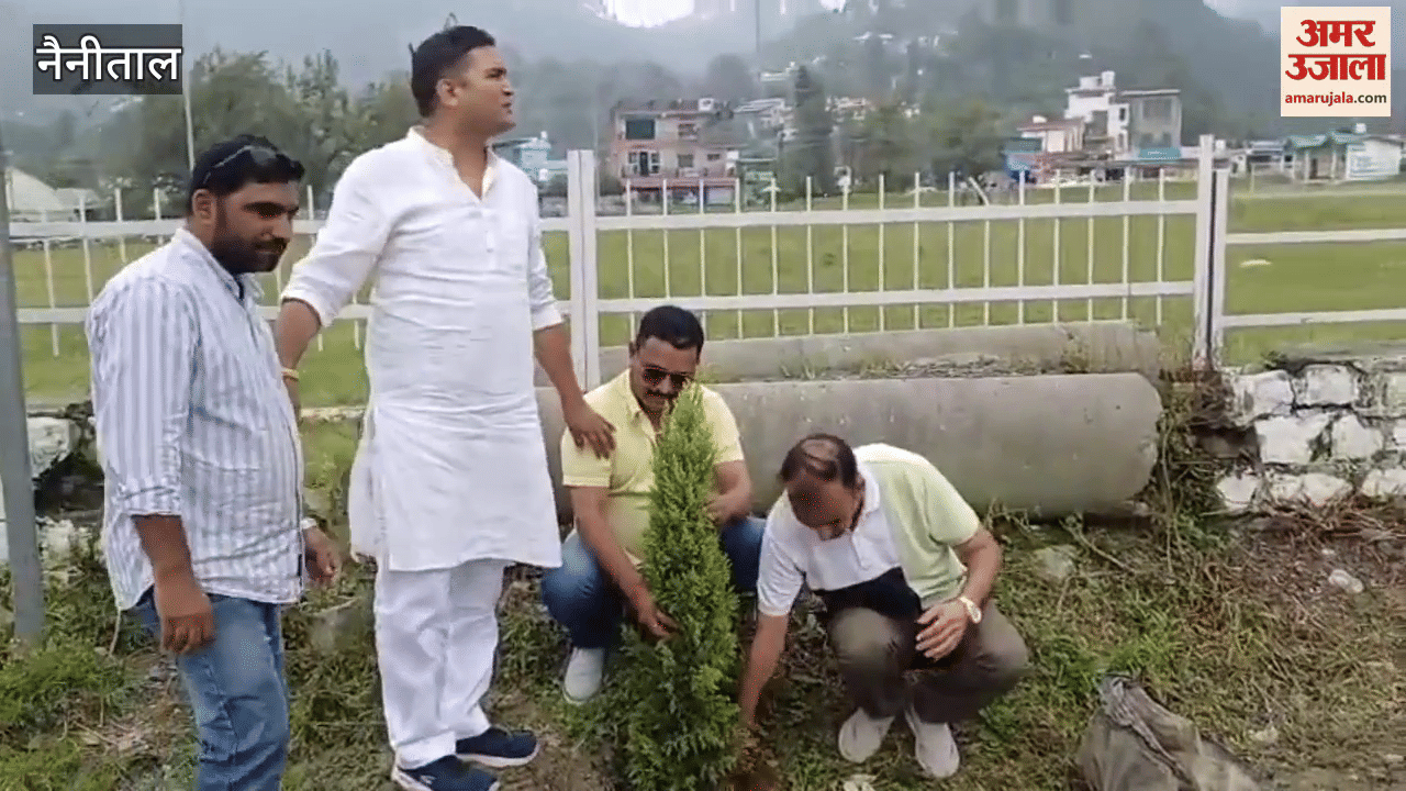 Traders planted trees to protect the environment in bhimtal