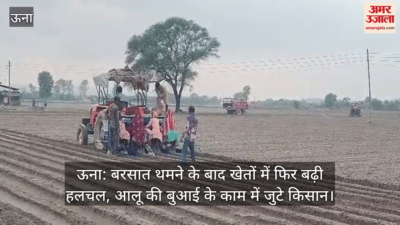 After the rain stopped, there was a stir in the fields again, farmers were busy sowing potatoe