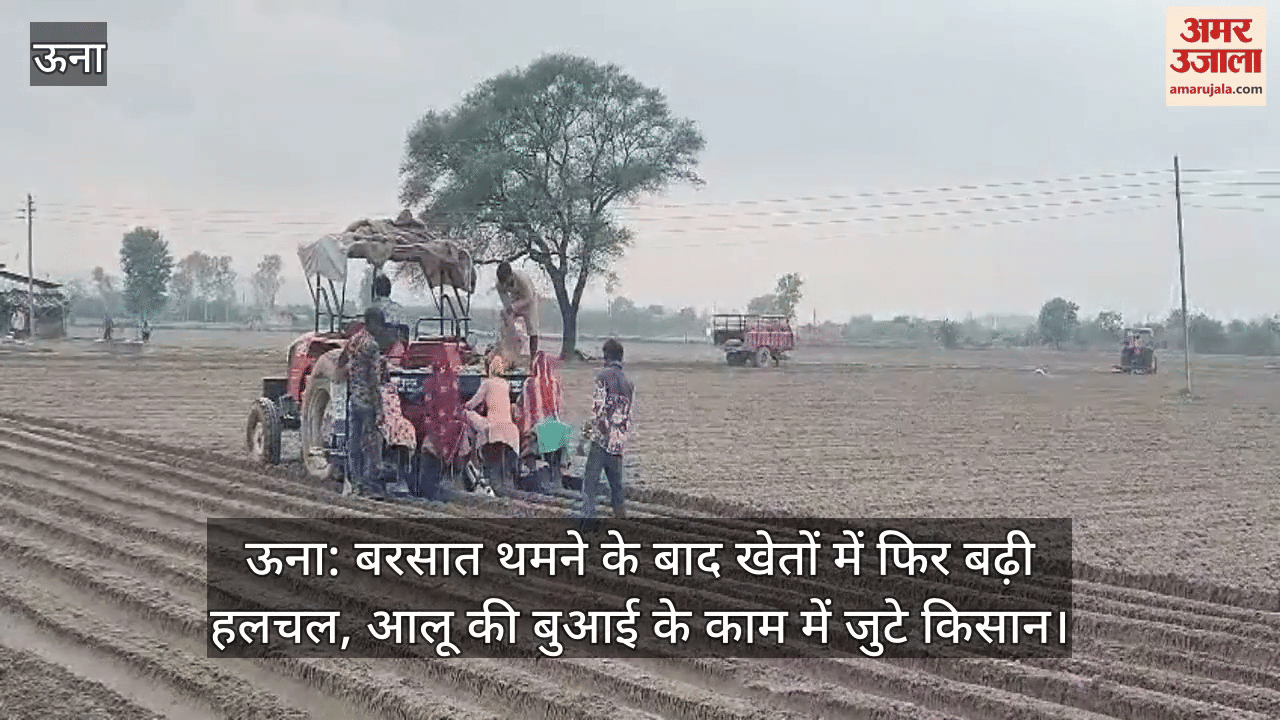 After the rain stopped, there was a stir in the fields again, farmers were busy sowing potatoe